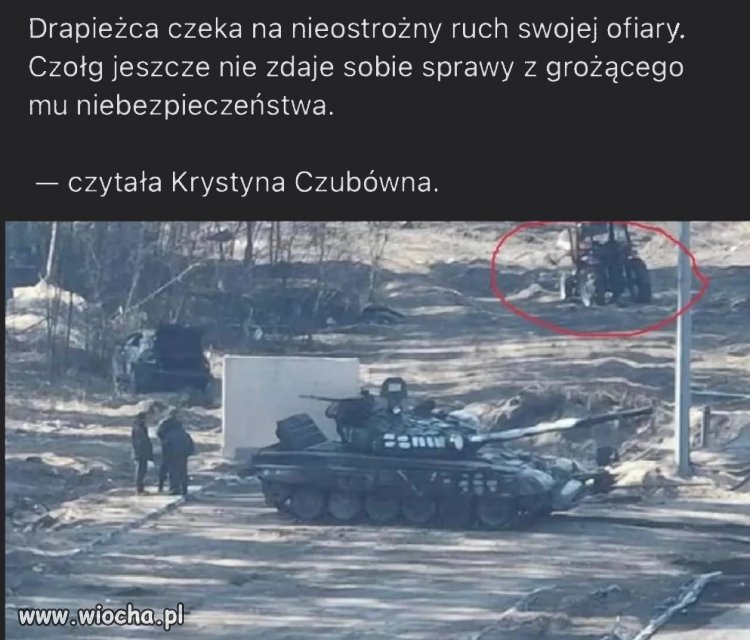 Drapieżca, który nie chce być ofiarą.