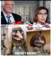 Taka tam pocieszna parka