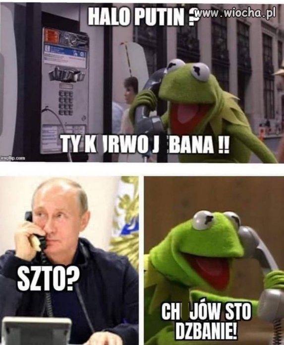 Kermit ma większe jaja niż cały nasz rząd