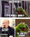 Kermit ma większe jaja niż cały nasz rząd
