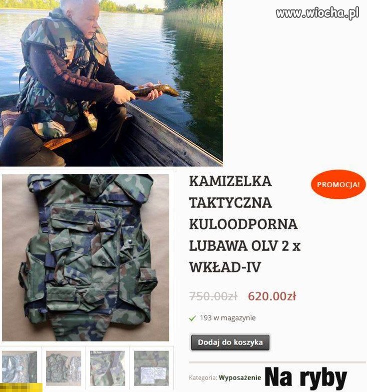 Z wojska to najbardziej lubię... marynarkę wojenną