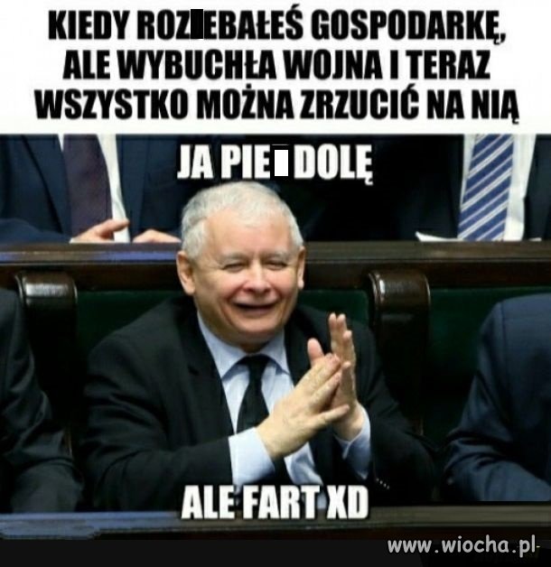 Na cztery łapy