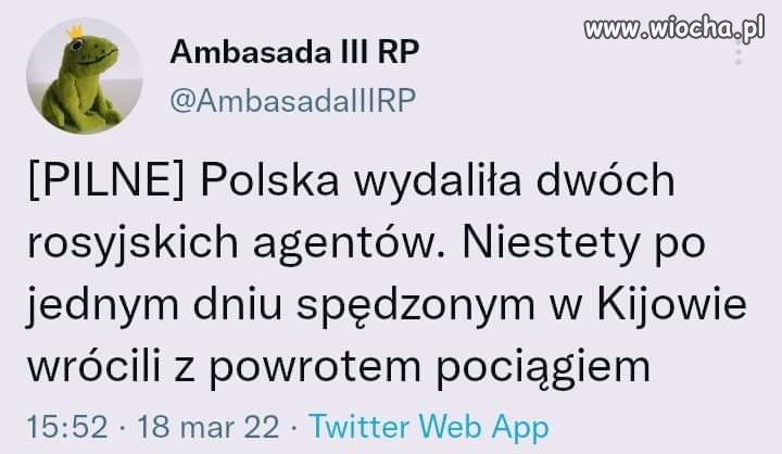 Wrócili bo w Ukrainie takich partaczy nie potrzebują