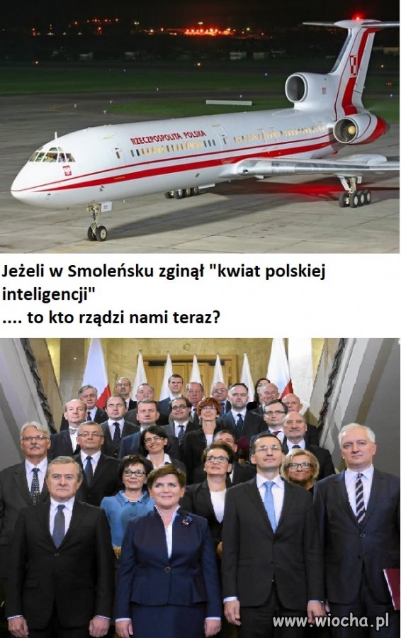 Badyle i osty