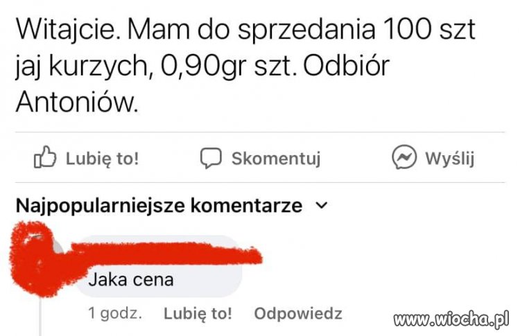 Kurze jaja