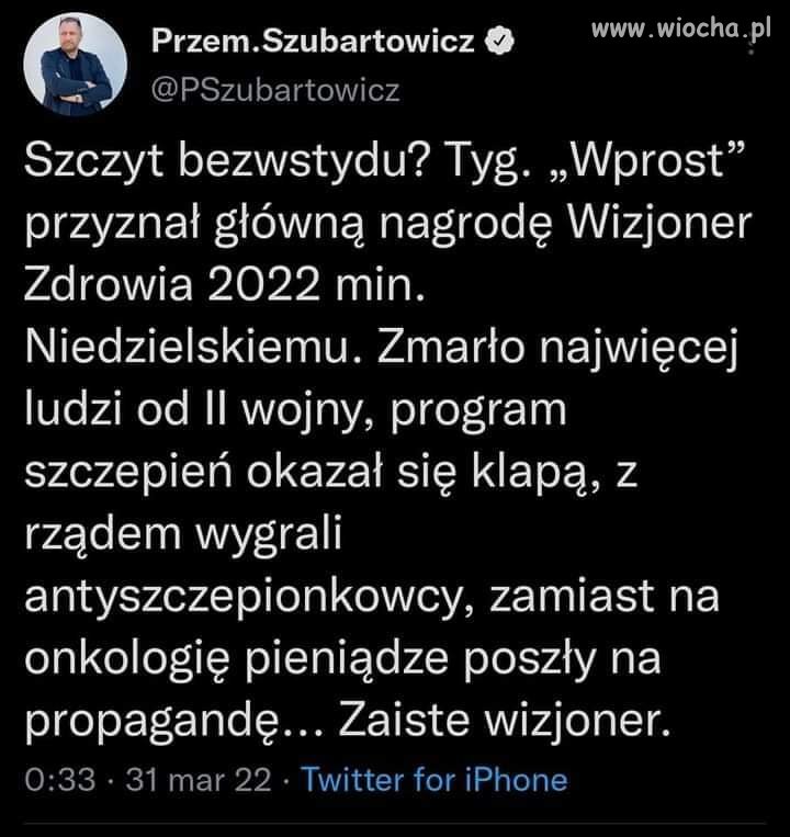 Wizjoner 