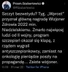 Wizjoner 