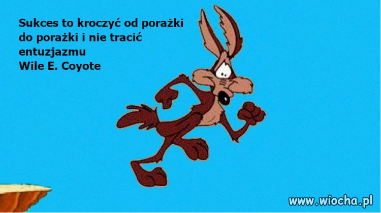 Porada dnia