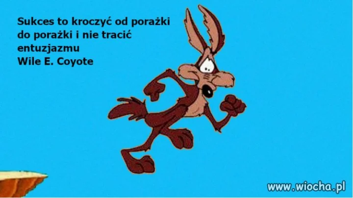 Porada dnia