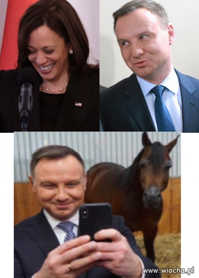 Poważnie? Masz selfie z koniem?