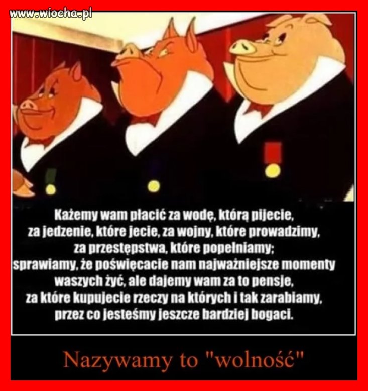 Dalej uważacie, że jesteście wolni?
