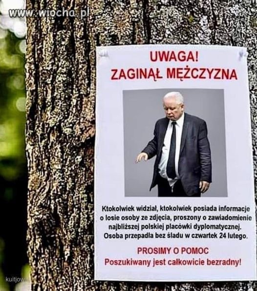 Ktokolwiek widział,ktokolwiek wie...