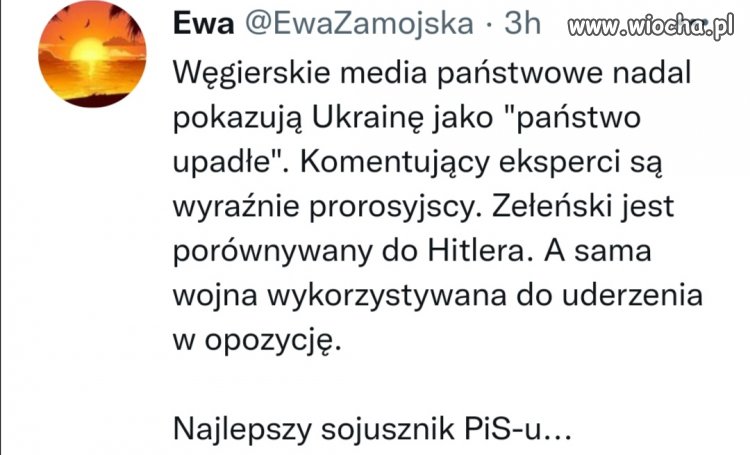 Sojusznicy piSSiorow