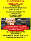 TERAZ WYBORCY PIS WIECIE KTÓRY TO ZŁODZIEJ ...