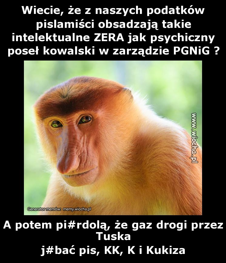 Wiecie, że z naszych podatków pislamiści obsadzają