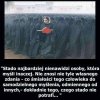 Stado najbardziej
