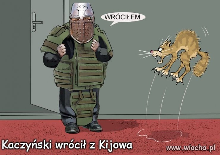 Nawet wioskowy tygrysek się przestraszył 