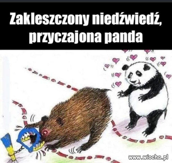 Jak myślicie 