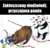 Jak myślicie 