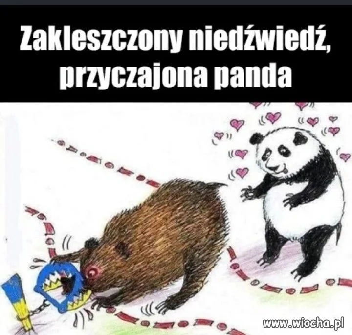 Jak myślicie 