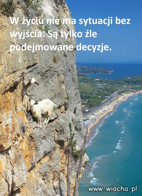 Halinka