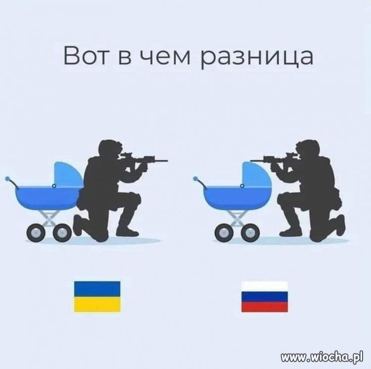 Obraz zastępuje słowa: