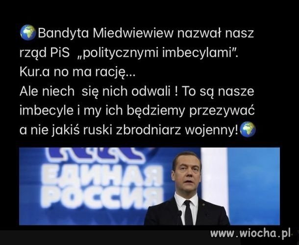Nasze imbecyle