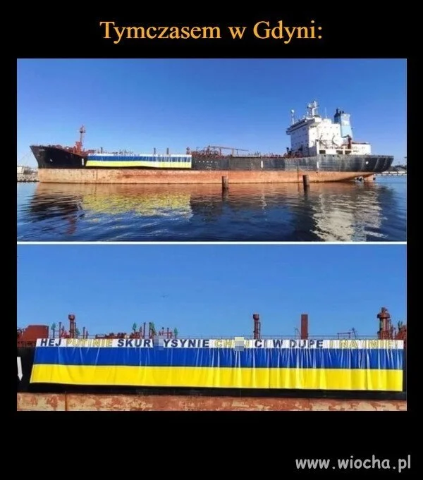 Trójmiasto pozdrawia Putina 