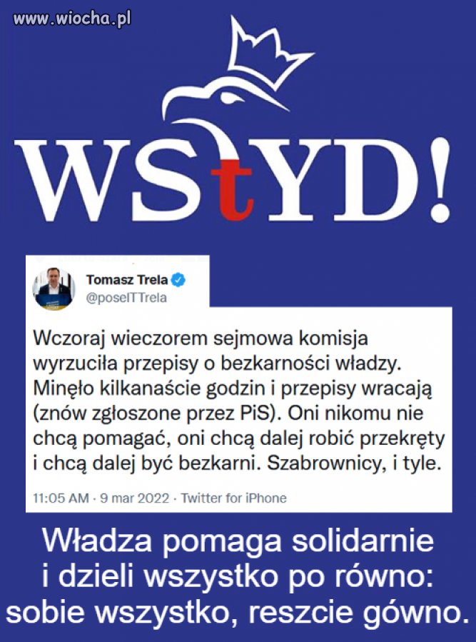 Władza dzieli równo 