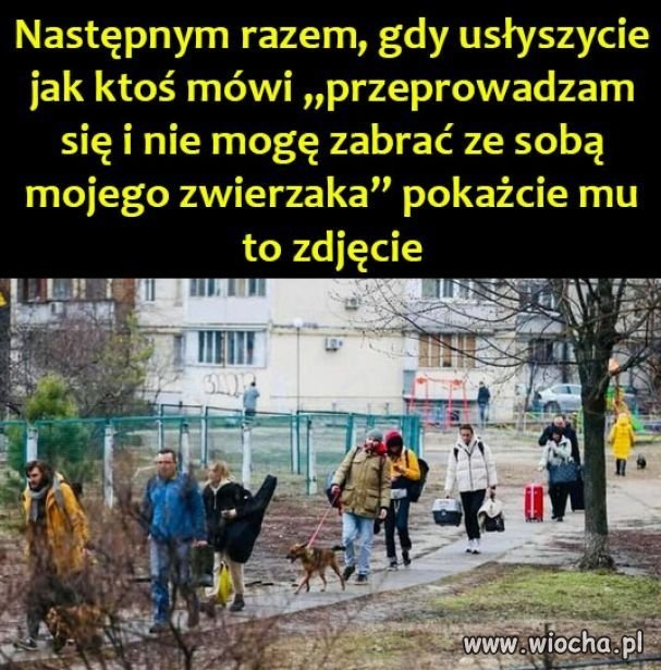 Trzeba tylko chcieć