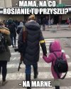 Tylko to tu zostawię