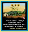 Oby to prorocze słowa były