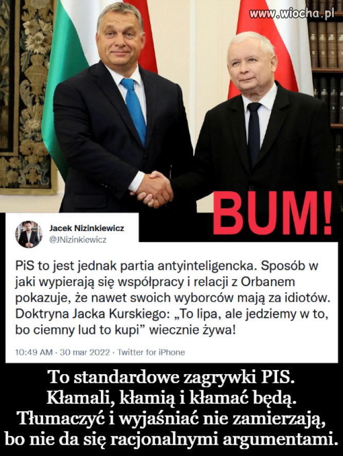 PiS partia antyinteligencka 