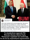 PiS partia antyinteligencka 