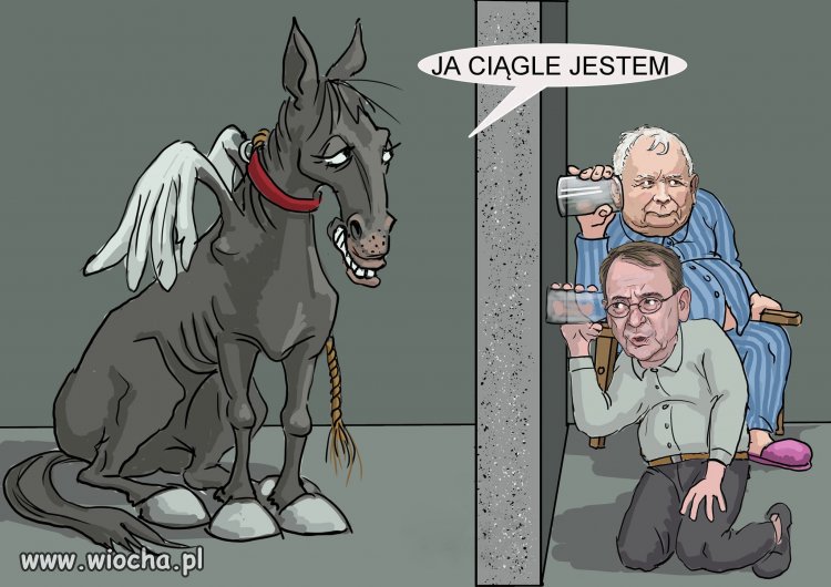 Chciałem przypomnieć że ...