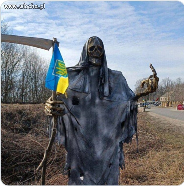 Z pozdrowieniami 