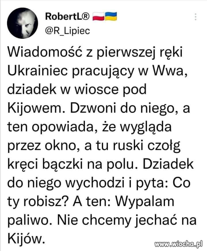 Morale upada. 