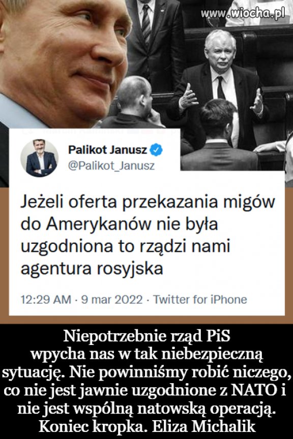 Agent na kaczych łapach 
