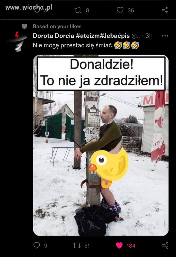 Janusz tłituje