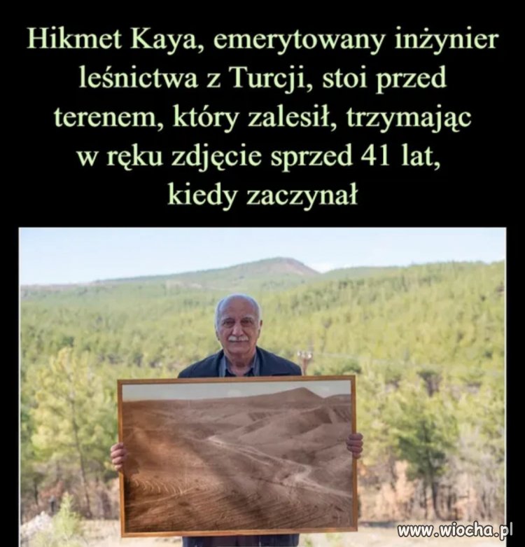 Co za wspaniały widok 
