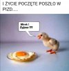 Szach mat. 