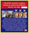 No cóż, było siedzieć w domu