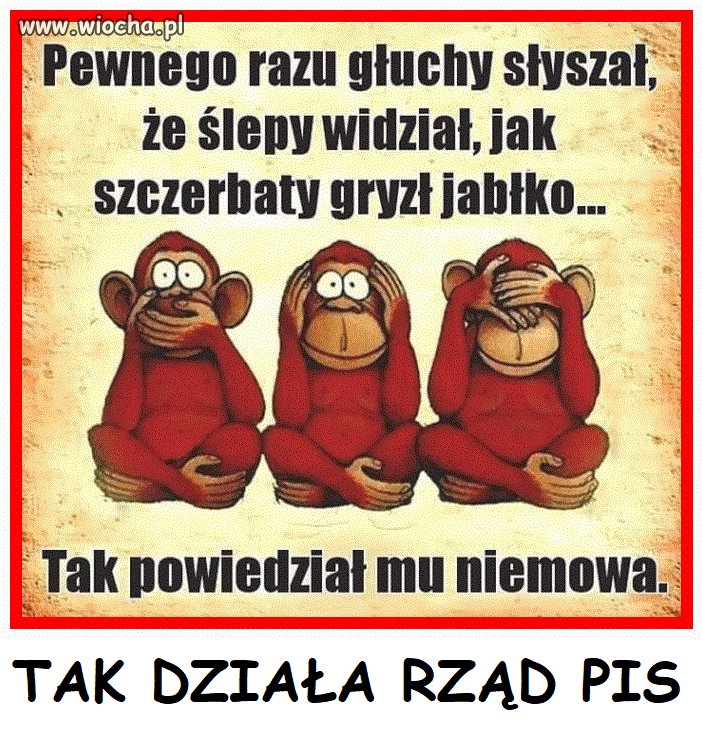 100%