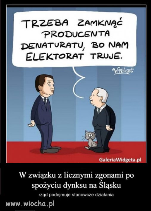 Taki reultat kiedy elektorat z bimbru przechodzi na denaturat...