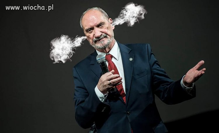 Para bucha 