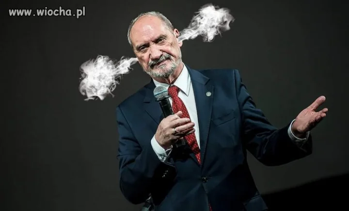 Para bucha 