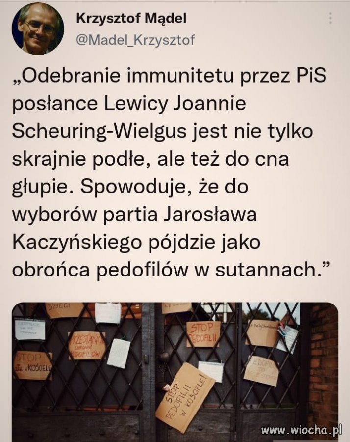 Pisowcy powiększają grono obrońców pedofilów