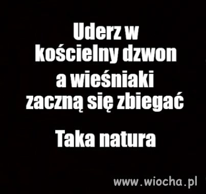 Dzwonię dopóki mogę