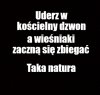Dzwonię dopóki mogę