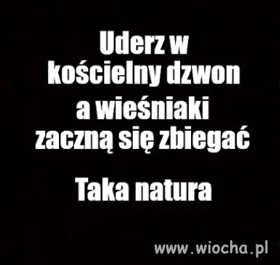 Dzwonię dopóki mogę